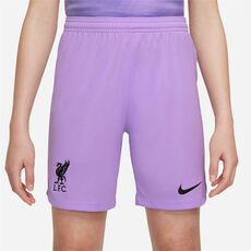 Nike Liverpool FC 2022/23 Home Nike DRI-FIT Goalkeeper Shorts Junior