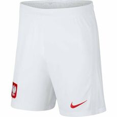 Nike Poland Stadium Shorts Mens