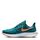 Nike Air Zoom Pegasus FlyEase Men's Easy On/Off Road Running Shoes_0
