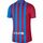Nike Barcelona Match Home Shirt 2021 2022_0
