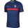 Nike France Home Vapor Shirt 2020
