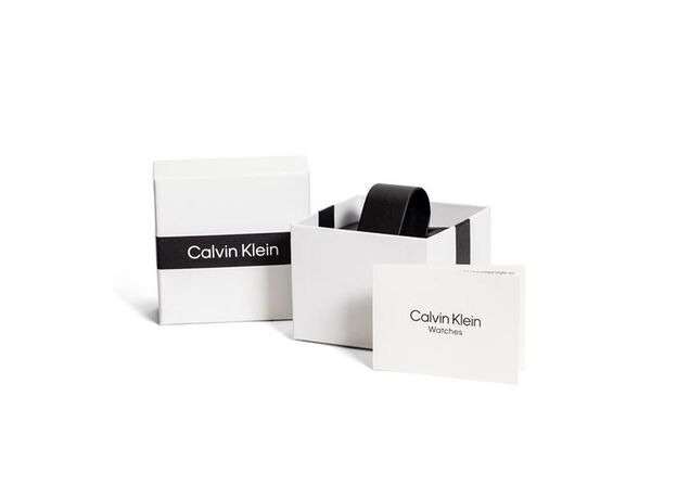 Calvin Klein Ladies Calvin Klein Bracelet Watch