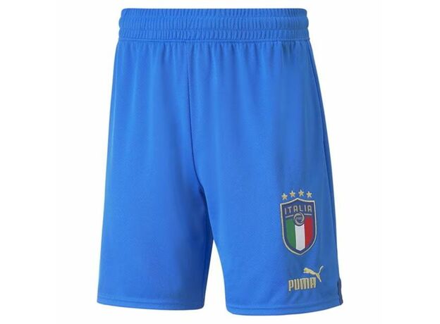Puma Italy Shorts Mens